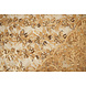 Netz Bestickt Pailletten Melissa Gold Netz Bestickt Pailletten Melissa Gold