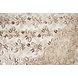 Netz Bestickt Pailletten Melissa Beige Netz Bestickt Pailletten Melissa Beige