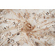 Netz Bestickt Pailletten Melissa Beige Netz Bestickt Pailletten Melissa Beige