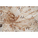 Netz Bestickt Pailletten Melissa Beige Netz Bestickt Pailletten Melissa Beige