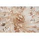 Netz Bestickt Pailletten Melissa Beige Netz Bestickt Pailletten Melissa Beige