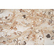 Netz Bestickt Pailletten Melissa Beige Netz Bestickt Pailletten Melissa Beige