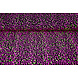 Sequins on Velvet Black - Fluor Sequins on Velvet Black - Fluor