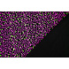 Paillettes su Velluto Nero - Fluorescente Paillettes su Velluto Nero - Fluorescente