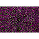 Lentejuelas sobre Terciopelo Negro - Fluor