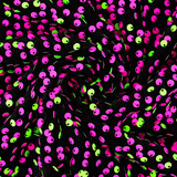 Pailletten op Velours Zwart - Fluor Pailletten op Velours Zwart - Fluor