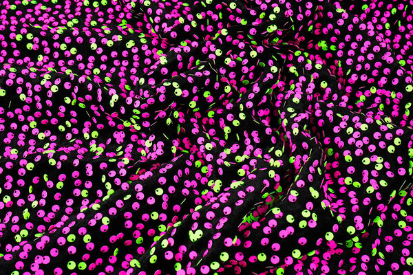 Lentejuelas sobre Terciopelo Negro - Fluor