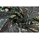 Paillettes su Mesh Mia Paillettes su Mesh Mia