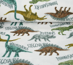 Oeko-Tex® Polaire Imprimée Dino'S Oeko-Tex® Polaire Imprimée Dino'S