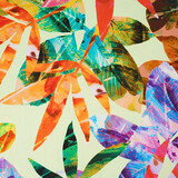 Cotton Jersey Leaves Cato Green