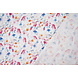 Mussola Fiori Kiki Mussola Fiori Kiki