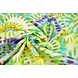 Stretch Cotone Bowien Verde Stretch Cotone Bowien Verde