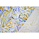 Efecto Lino Viscosa Elástico Cilia Multi 1 Efecto Lino Viscosa Elástico Cilia Multi 1