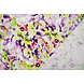 Jersey de Viscosa Flores Greetje Multi-1 Jersey de Viscosa Flores Greetje Multi-1