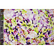 Viscosa Jersey Fiori Greetje Multicolore-1 Viscosa Jersey Fiori Greetje Multicolore-1