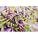 Viscosa Jersey Fiori Greetje Multicolore-1 Viscosa Jersey Fiori Greetje Multicolore-1