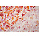 Ricamo Cotone Tie-Dye Arancione Rosa Ricamo Cotone Tie-Dye Arancione Rosa