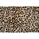 Feiner Crêpe Cheetah Swipes 4