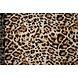 Feiner Crêpe Cheetah Swipes 4