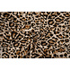 Fijne Crêpe Cheetah Swipes 4