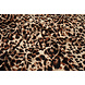 Fine Crêpe Cheetah Swipes 5
