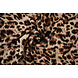 Fine Crêpe Cheetah Swipes 5