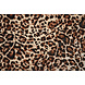 Feiner Crêpe Cheetah Swipes 5