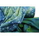 Jogging Tie Dye Sterren Groen Jeans Jogging Tie Dye Sterren Groen Jeans
