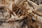 Tie-Dye Jacquard Beige Marrone Tie-Dye Jacquard Beige Marrone