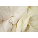 Double-sided Quilted Fabric Natural