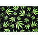 Oeko-Tex® Bi-Stretch Printed Green Haze Oeko-Tex® Bi-Stretch Printed Green Haze