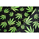 Oeko-Tex® Bi-Stretch Printed Green Haze Oeko-Tex® Bi-Stretch Printed Green Haze