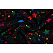 Oeko-Tex®  Bi-Stretch Printed Magical Stars