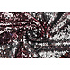 Reversibler Paillettenstoff Rosa-Silber Reversibler Paillettenstoff Rosa-Silber