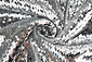 Reversible Sequin Fabric Silver -Silver on White Satin