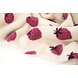 Teddystoff Erdbeeren Creme