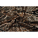 Sequins on Mesh Zafira