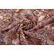 Netz Bestickt Pailletten Maharani Rosa Netz Bestickt Pailletten Maharani Rosa
