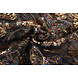 Mesh Embroidered Sequins Maharani Black