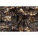 Netz Bestickt Pailletten Maharani Schwarz Netz Bestickt Pailletten Maharani Schwarz