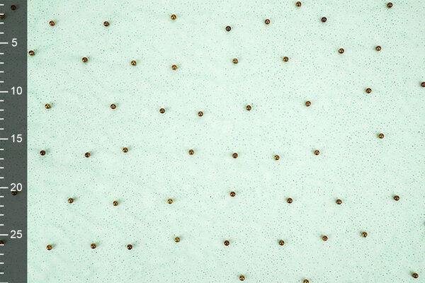 Fine Glitter Tulle con Perline Verde Mare
