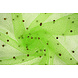 Tulle Fin à Paillettes avec Perles Citron Vert Vert Tulle Fin à Paillettes avec Perles Citron Vert Vert