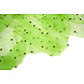 Fine Glitter Tulle con Perline Verde Lime