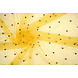 Fina Purpurina Tul con Perlas Amarillo