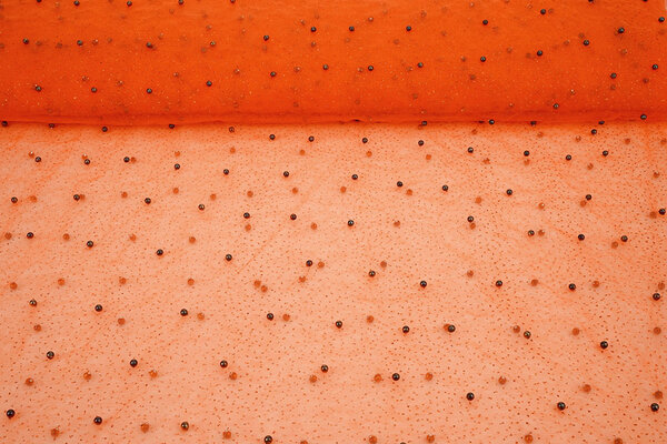 Tulle Fin à Paillettes avec Perles Orange