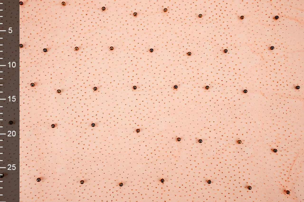 Tulle Fin à Paillettes avec Perles Orange