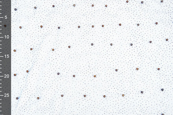 Fine Glitter Tulle con Perline Blu Reale Fine Glitter Tulle con Perline Blu Reale