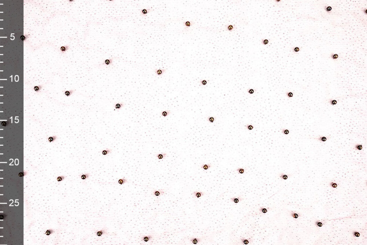Fijne Glitter Tule met  Parels Mauve