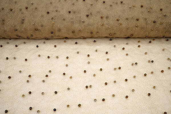 Fine Glitter Tulle con Perline Beige Fine Glitter Tulle con Perline Beige