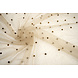 Fina Purpurina Tul con Perlas Beige